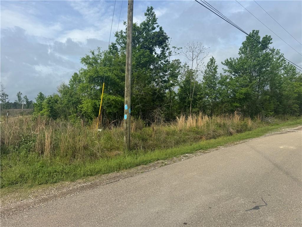 148 Acres LOST OAK Lane