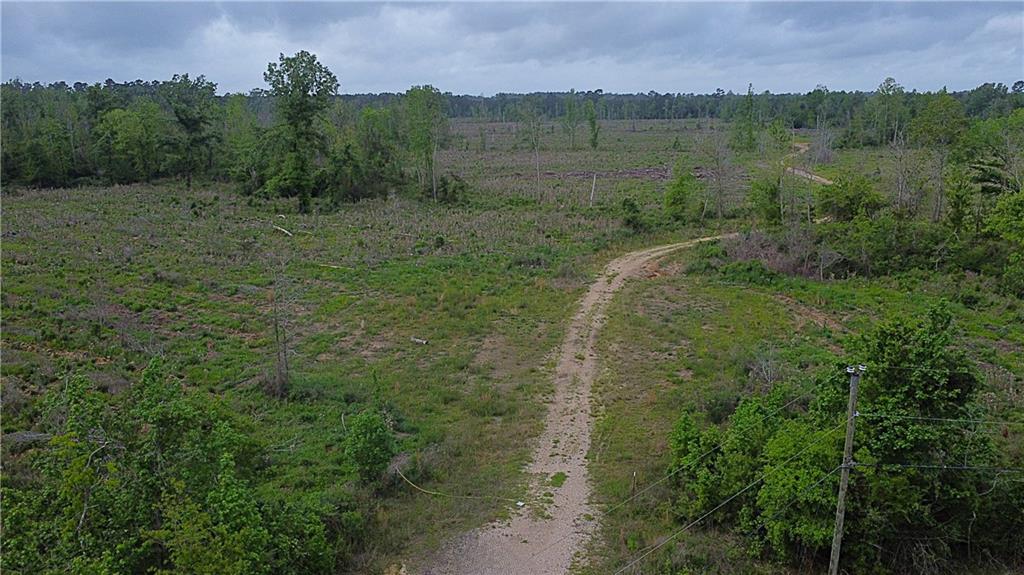 148 Acres LOST OAK Lane