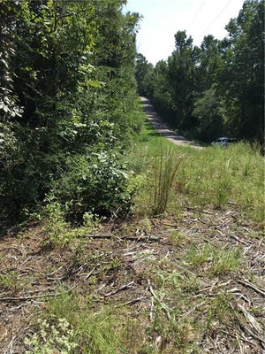 29637 ROSCOE DILLON RD, FRANKLINTON, LA 70438 - Image b709bc5e4e10fff06c91020b1e4c6f58/149981561