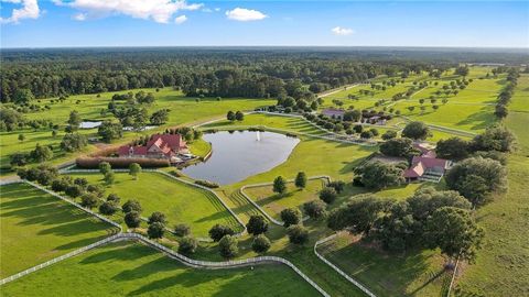 11651 DAMIANO Road Folsom LA 70437