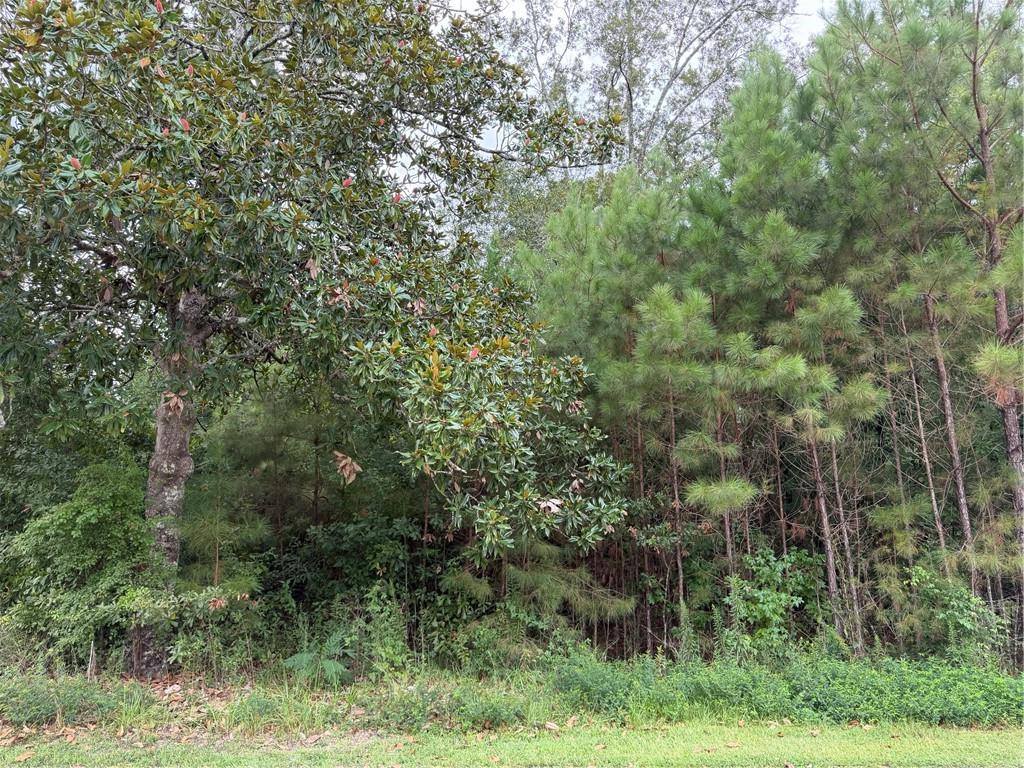 205 BELLE GROVE Court
