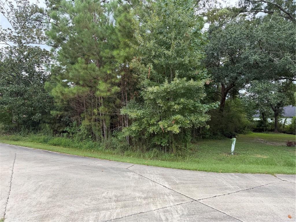 205 BELLE GROVE Court