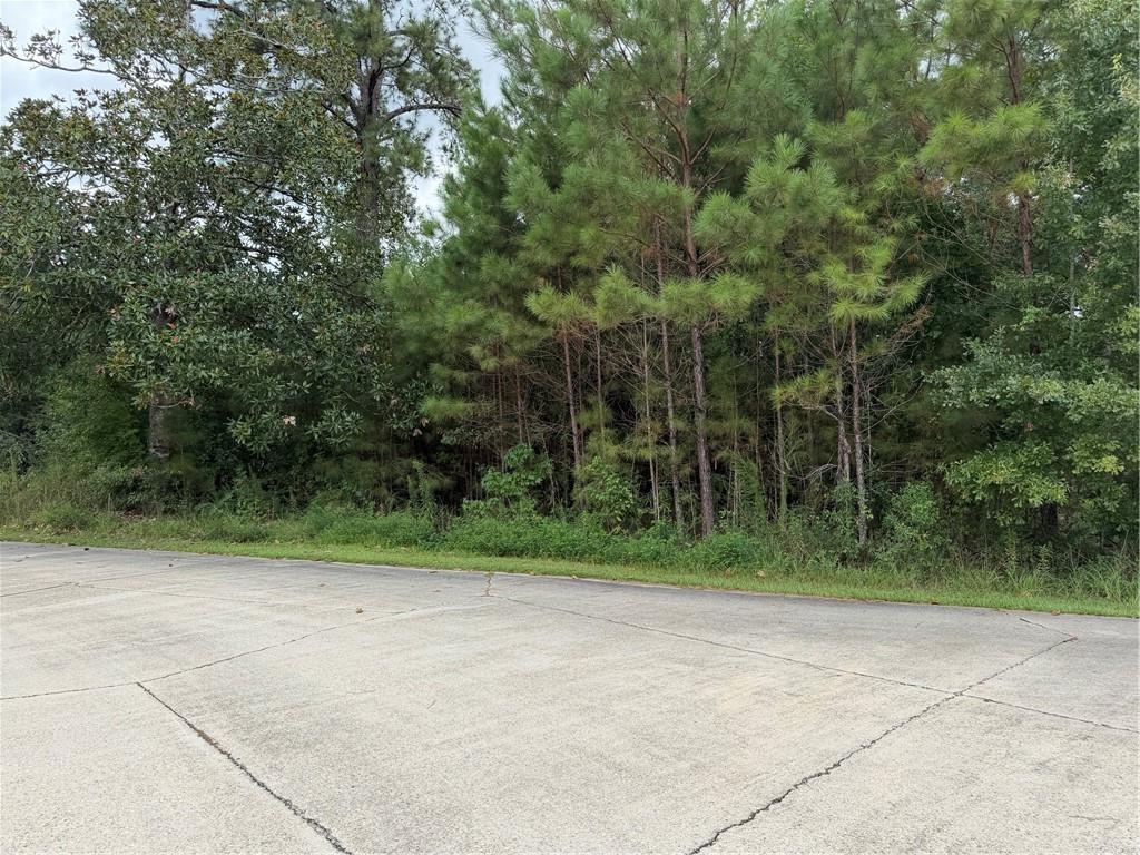 205 BELLE GROVE Court