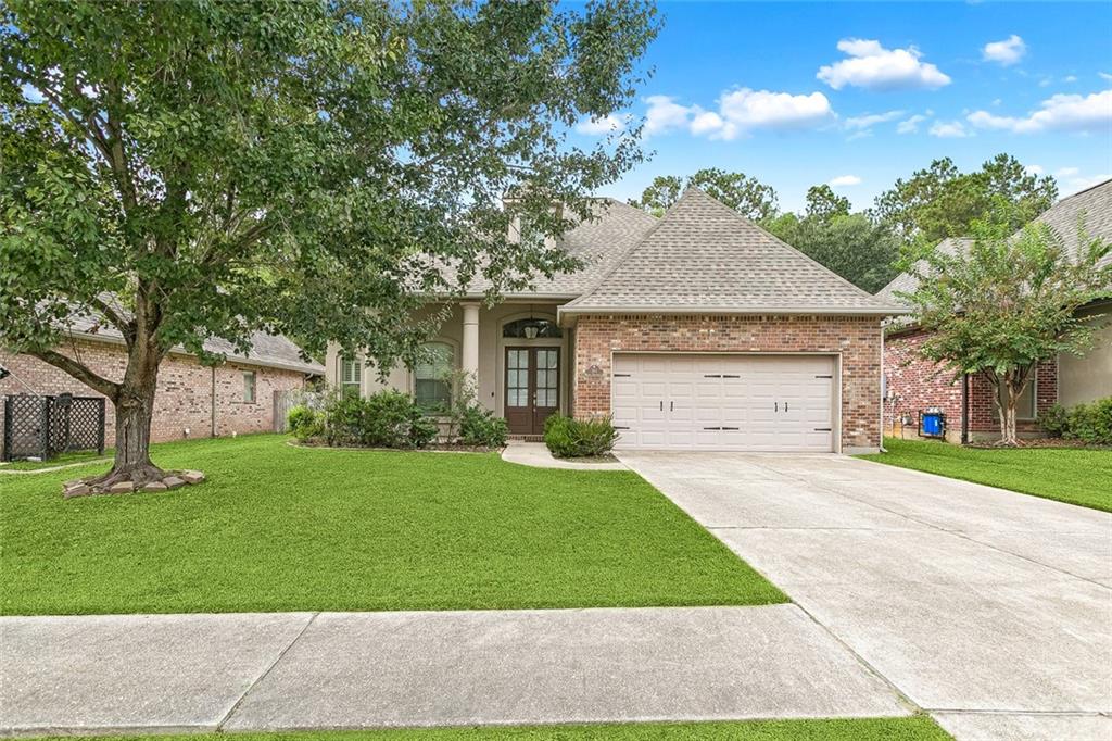 312 BROWN THRASHER Loop