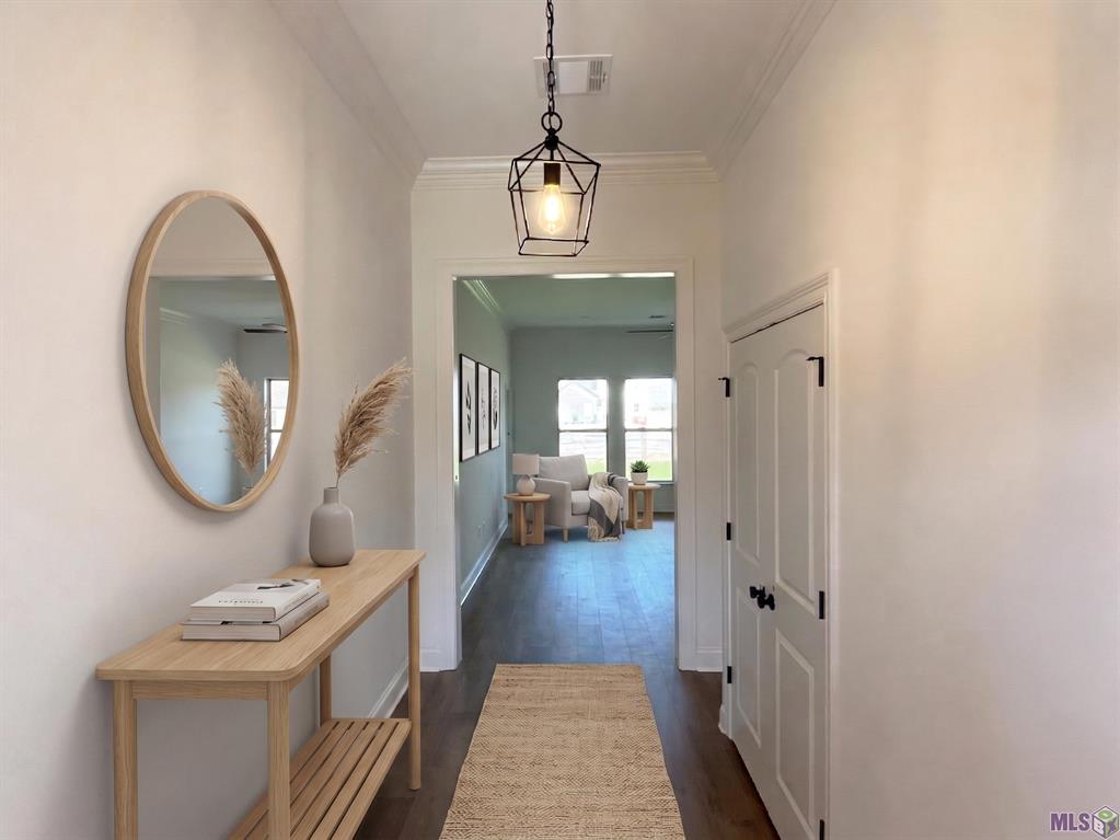 310 Olivia Drive