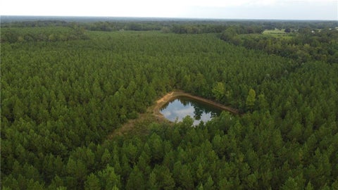 JIM EDWARDS Road Franklinton LA 70438
