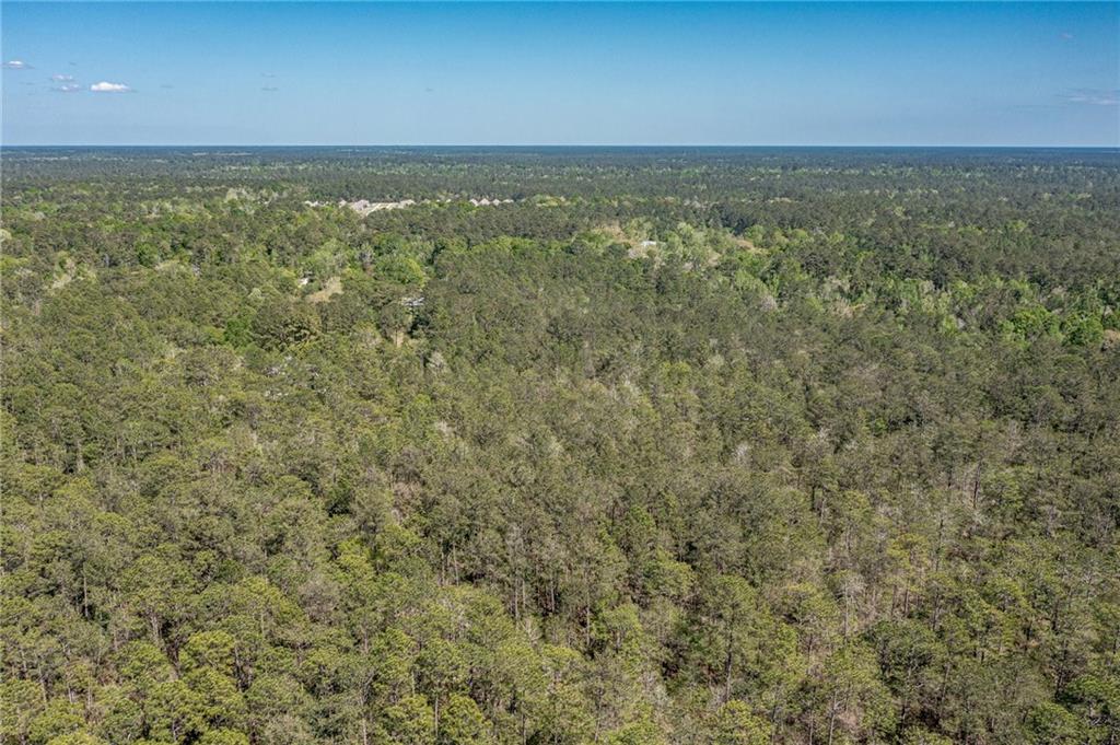 Covington, Louisiana 70435, United States, ,Land,Pending,64723