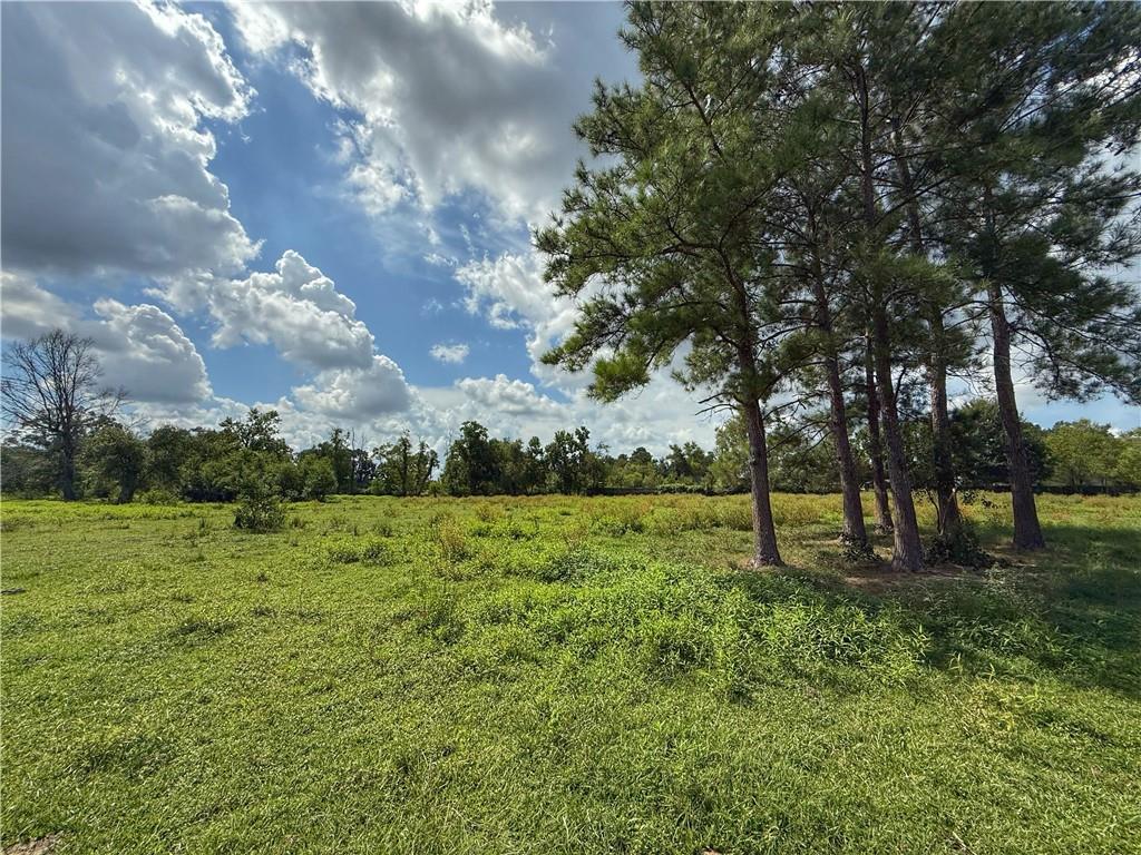 43058 HAPPYWOODS Road