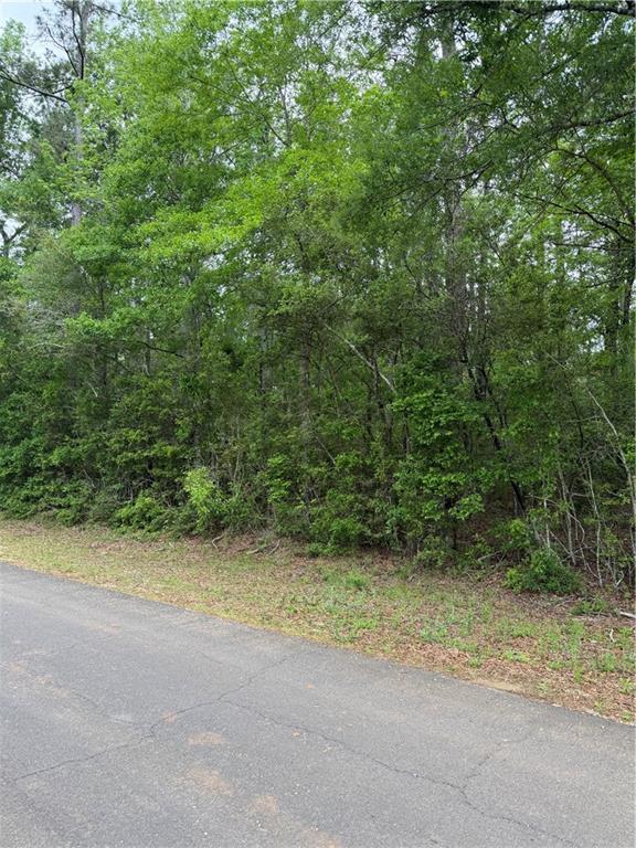 TBD N SAINT CHARLES Avenue