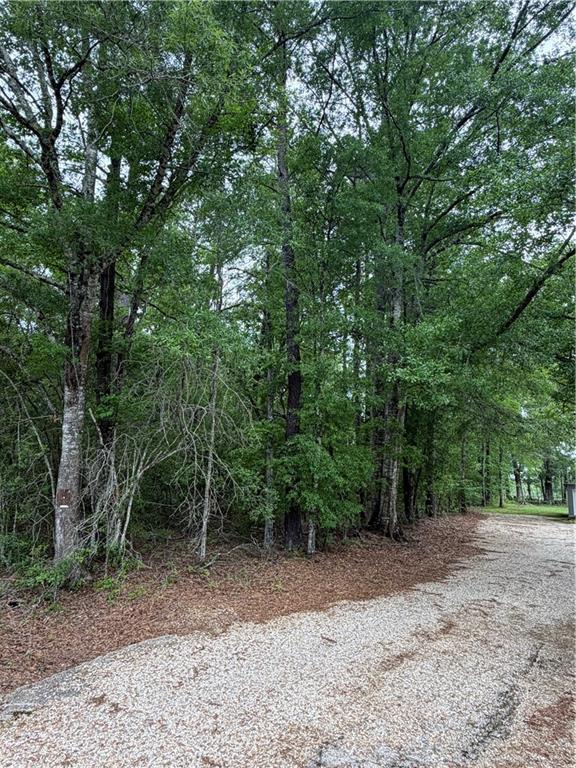 TBD N SAINT CHARLES Avenue