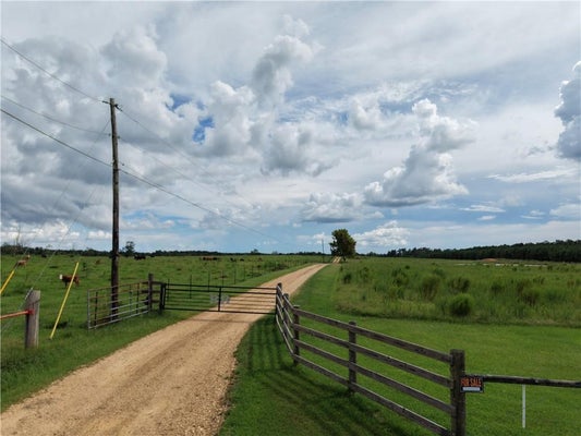 TBD E BELL ROAD, AMITE, LA 70422 - Image c1424092047c8fe1c94cbf89e4e12f0f/3381958703