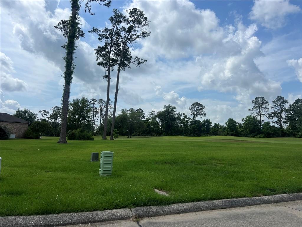 24215 SNOWY EGRET Cove