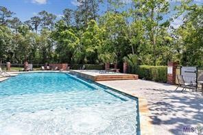 24215 SNOWY EGRET Cove