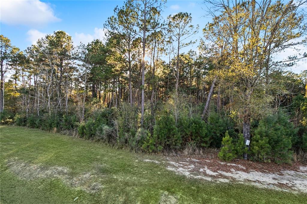 12509 GOLDENTOP Drive