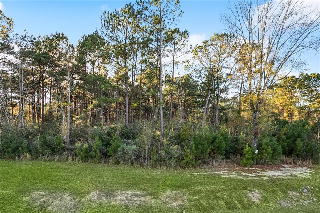 12509 GOLDENTOP Drive