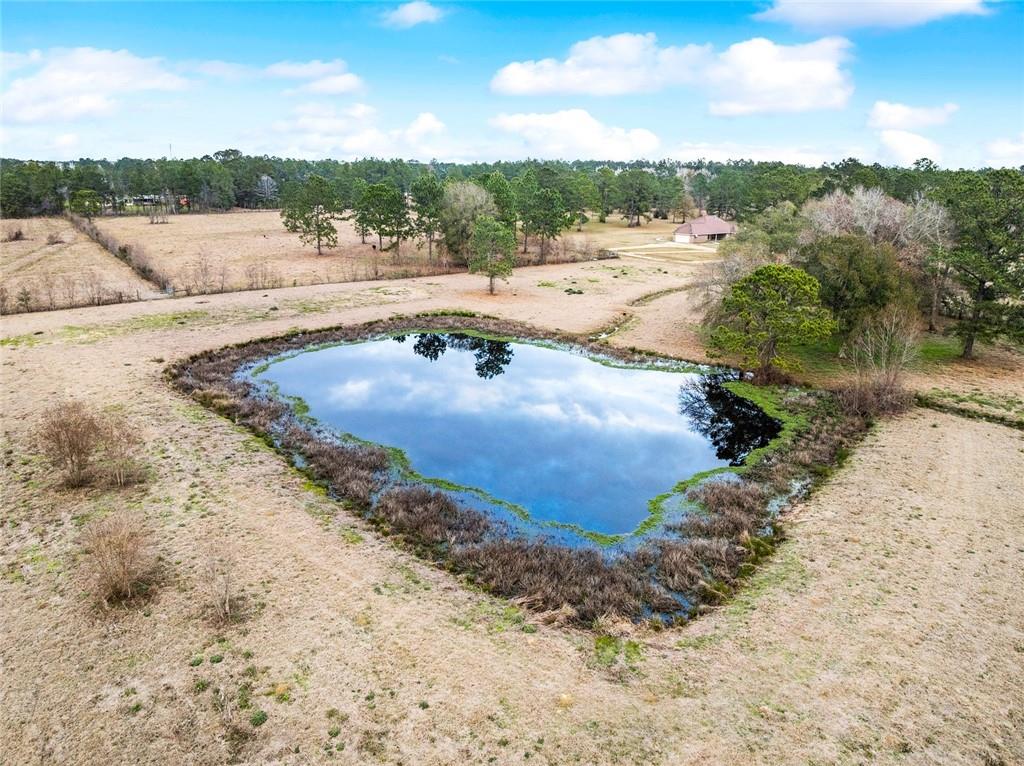 15488 LAKE RAMSEY Road