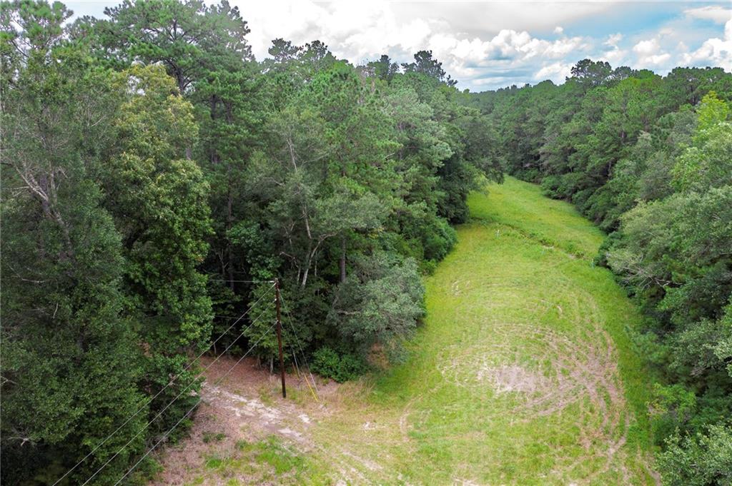 8.73 Acres WONIE COUSIN Road