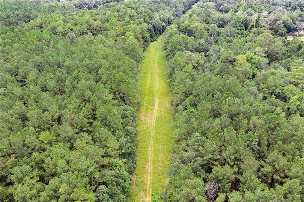 8.73 Acres WONIE COUSIN Road