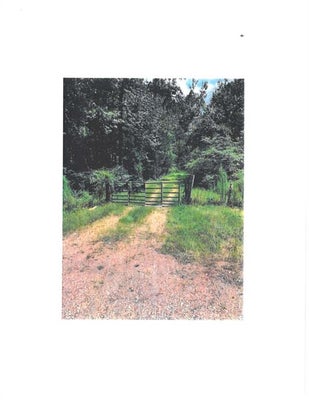 13450 HIGHWAY 442 W, TICKFAW, LA 70466 - Image c5aa138e9b111f9fe2d87c834bc8ca37/3517500487