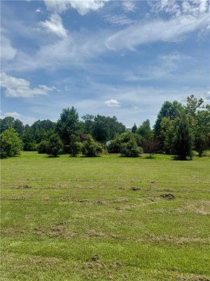 50414 LESTER LN, LORANGER, LA 70446 - Image c69cfe448d496e2895b3a7d8a628dc31/2991434730