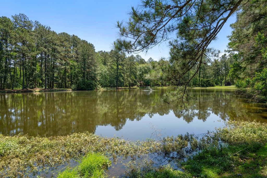 340 WILDERNESS Court
