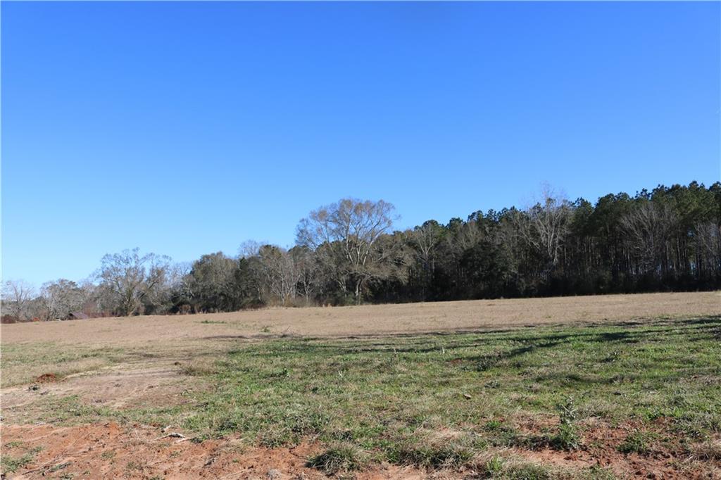 Photo 1 of 4 of Lot 5 ZACK MAGEE Road land