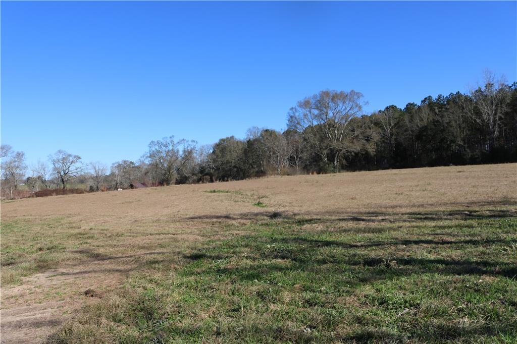 Photo 3 of 4 of Lot 5 ZACK MAGEE Road land