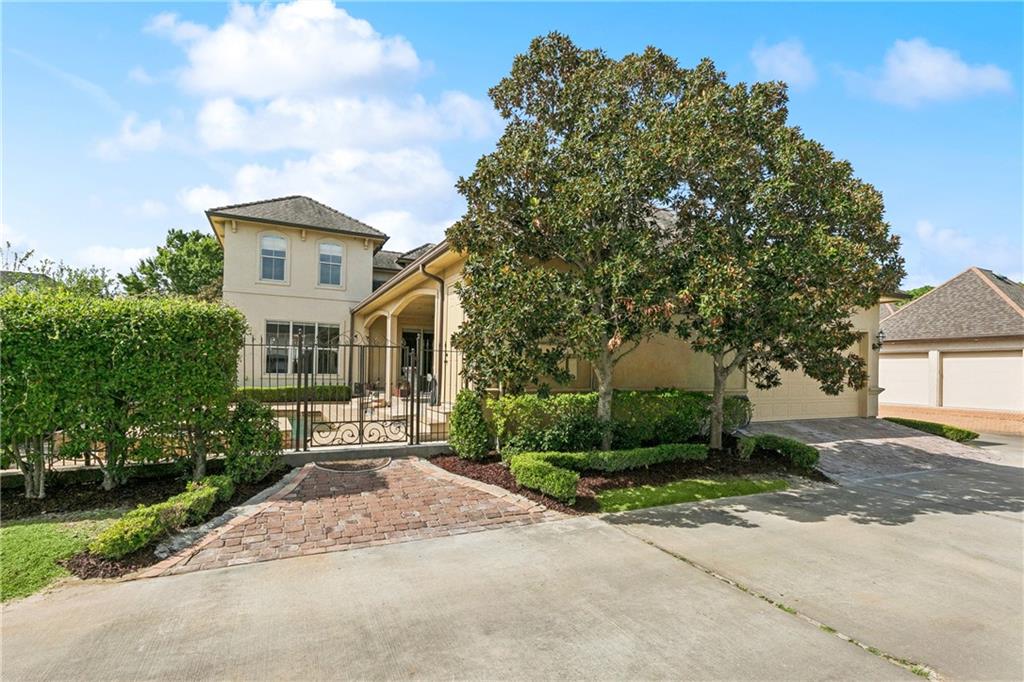 26 CYCAS Street