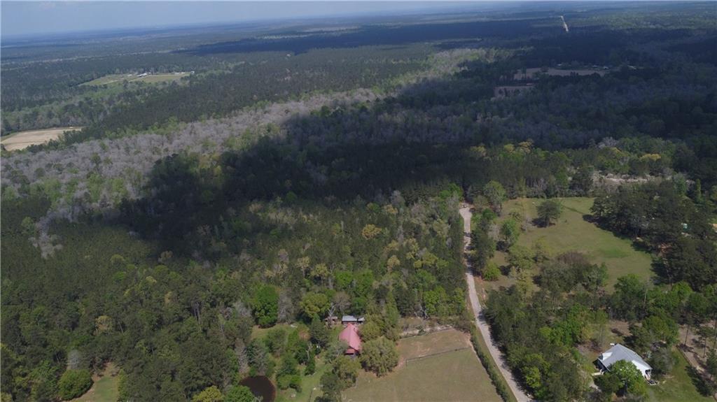 10 Acres HOLLIDAY Road