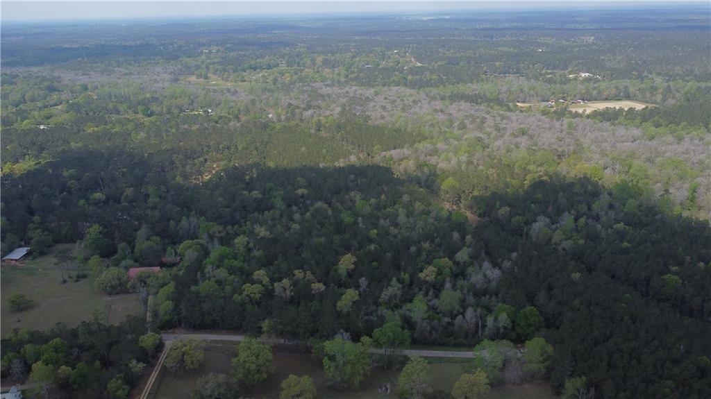 10 Acres HOLLIDAY Road