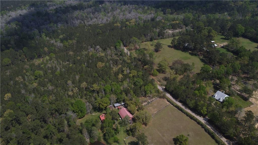10 Acres HOLLIDAY Road
