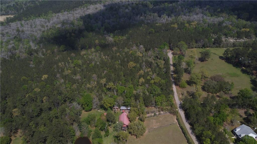 10 Acres HOLLIDAY Road
