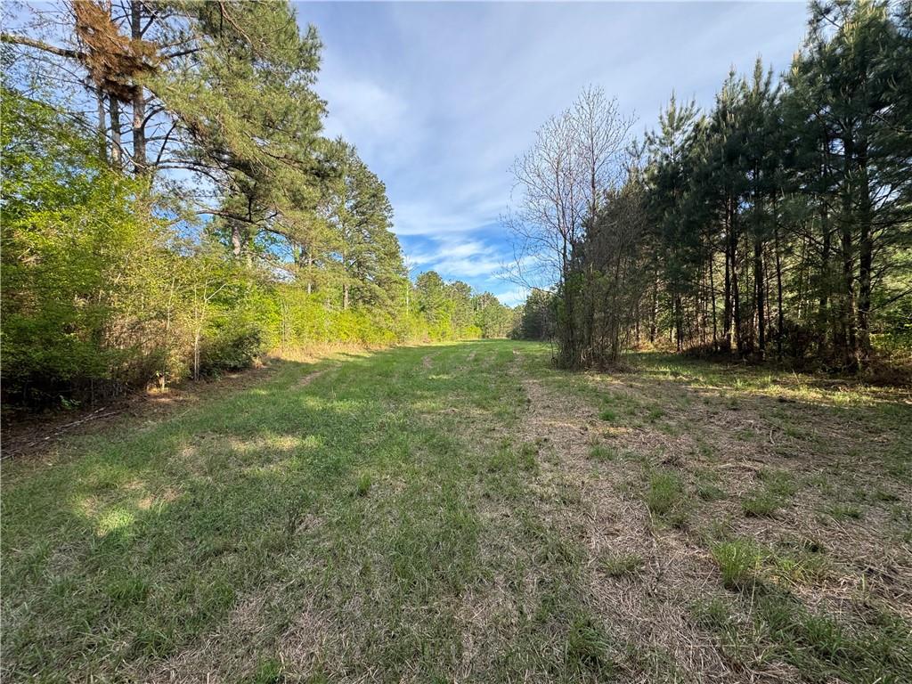 Photo 1 of 51 — 1311 N JACKSON Street, Brookhaven, MS 39601