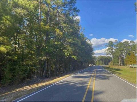 24075 BLOOD RIVER Road Springfield LA 70462