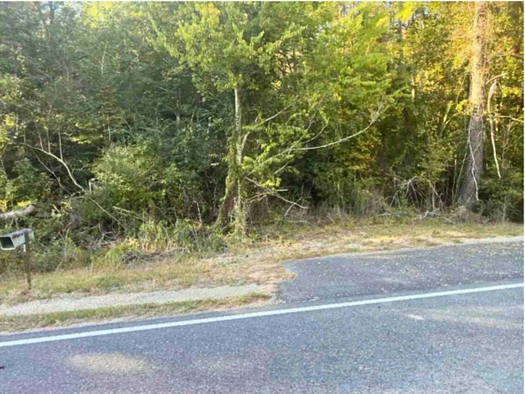 24075 BLOOD RIVER Road