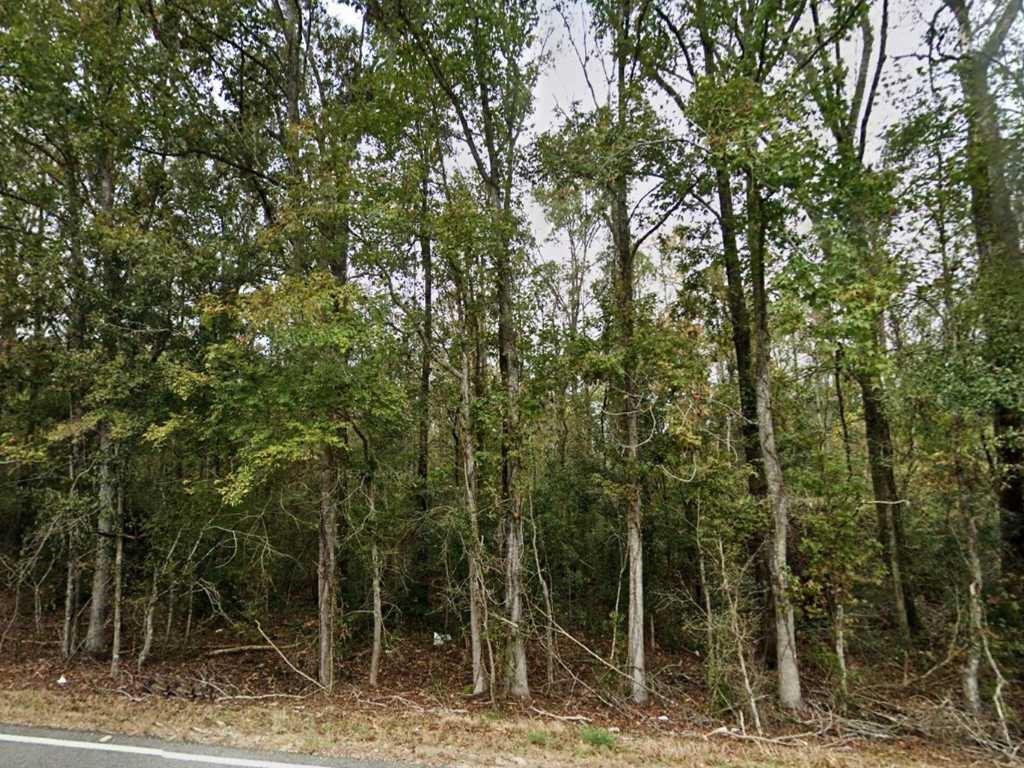 24075 BLOOD RIVER Road