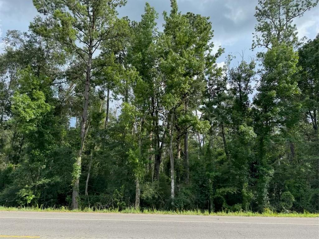 BP-7 FLORIDA Boulevard