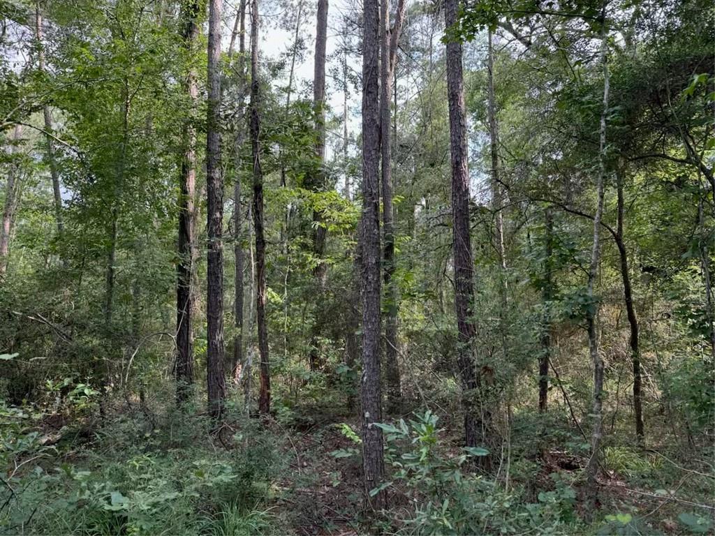 BP-7 FLORIDA Boulevard