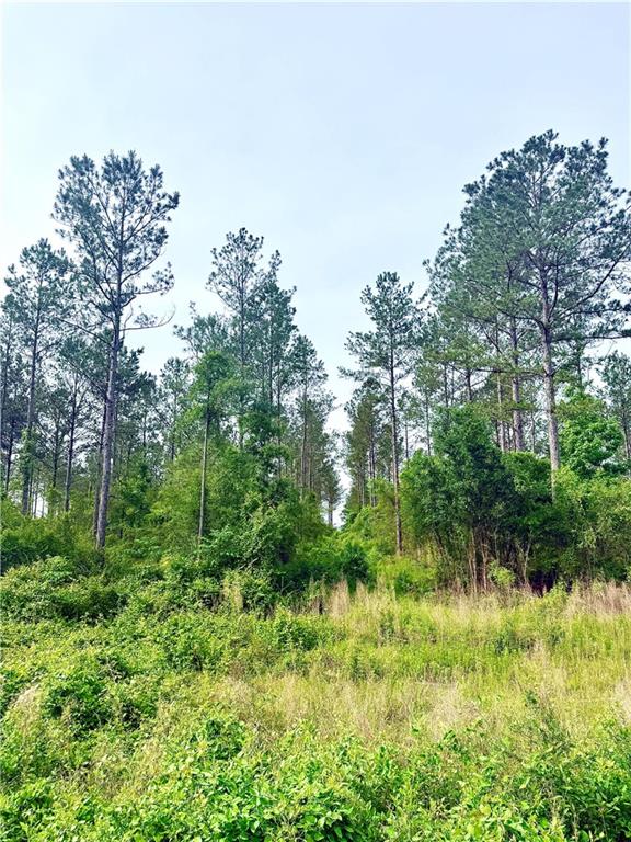 Lot4 TBD LEE Road