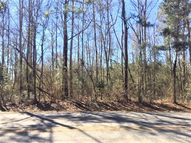 Photo 3 of 13 of HWY 440 Highway land