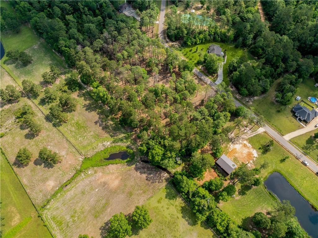 0 SPIRIT OF THE FOREST Lane