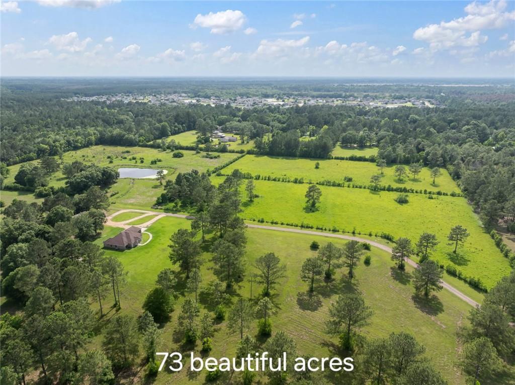 15488 LAKE RAMSEY Road