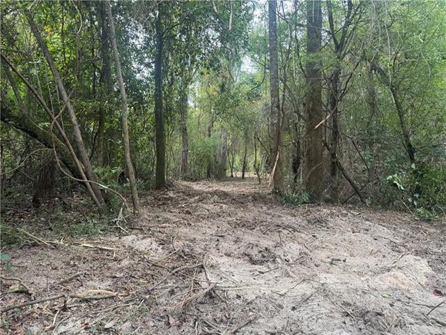 LONNIE DUNCAN Road