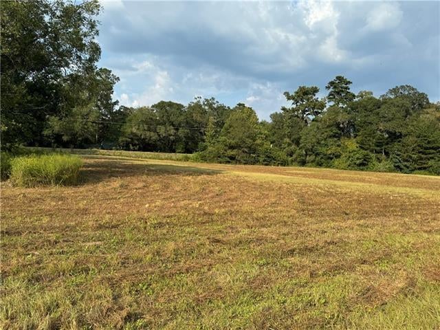LONNIE DUNCAN Road