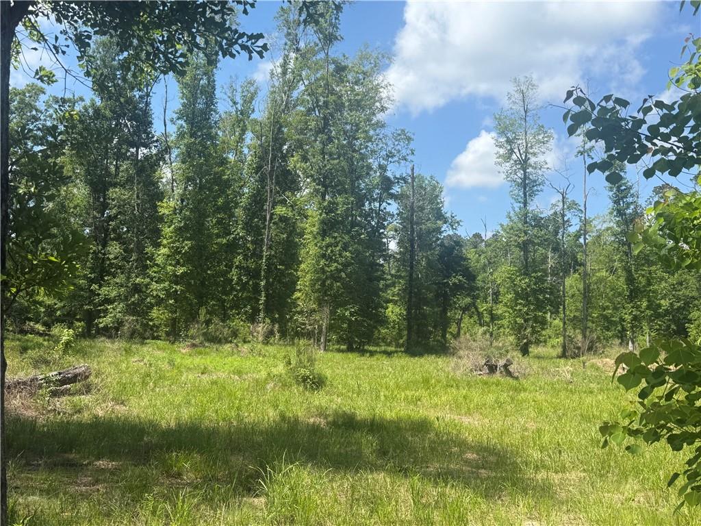 39667 SCHOOL SECTION Road