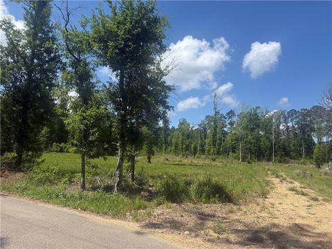 39667 SCHOOL SECTION Road Ponchatoula LA 70454