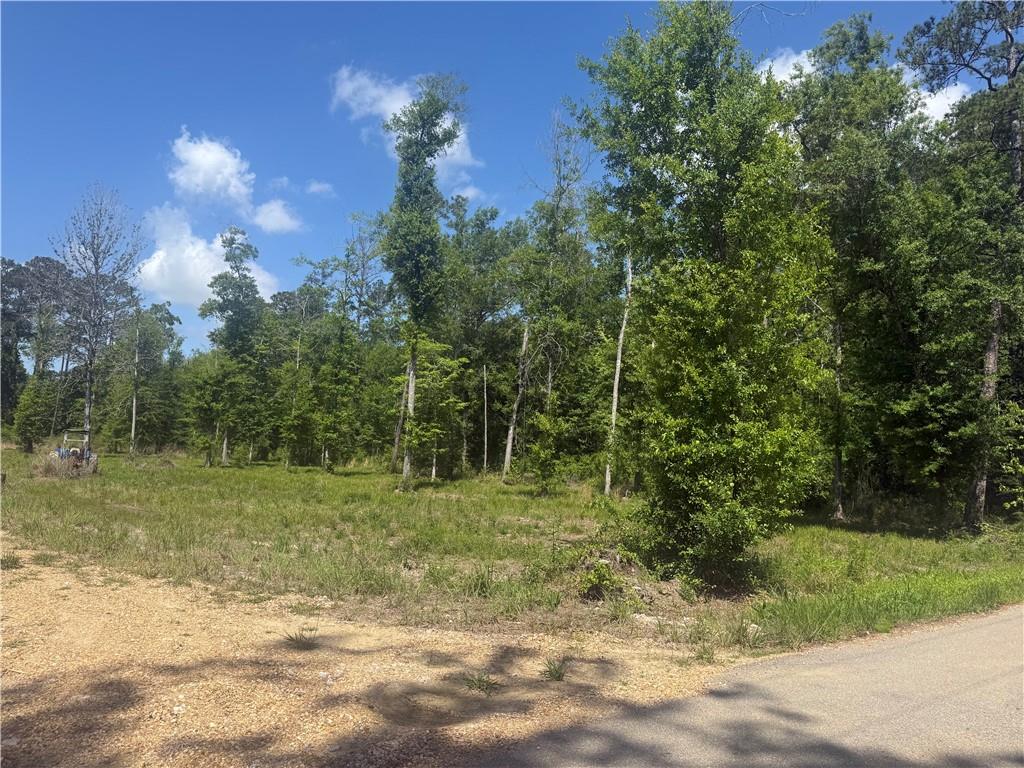 39667 SCHOOL SECTION Road