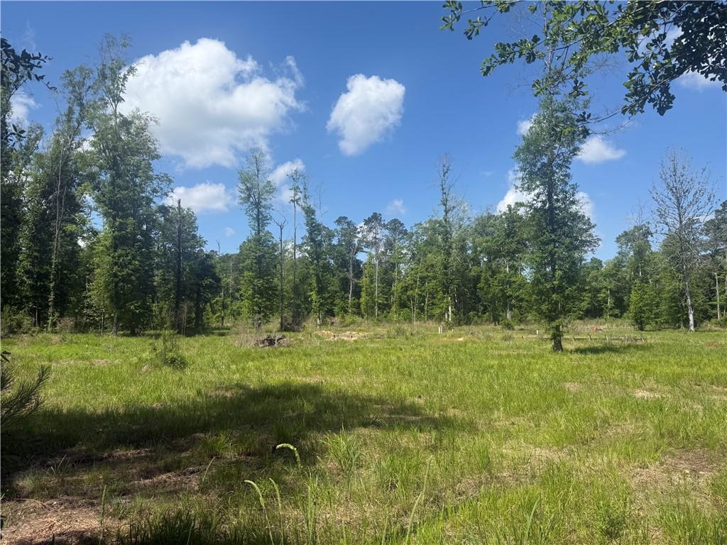 39667 SCHOOL SECTION Road