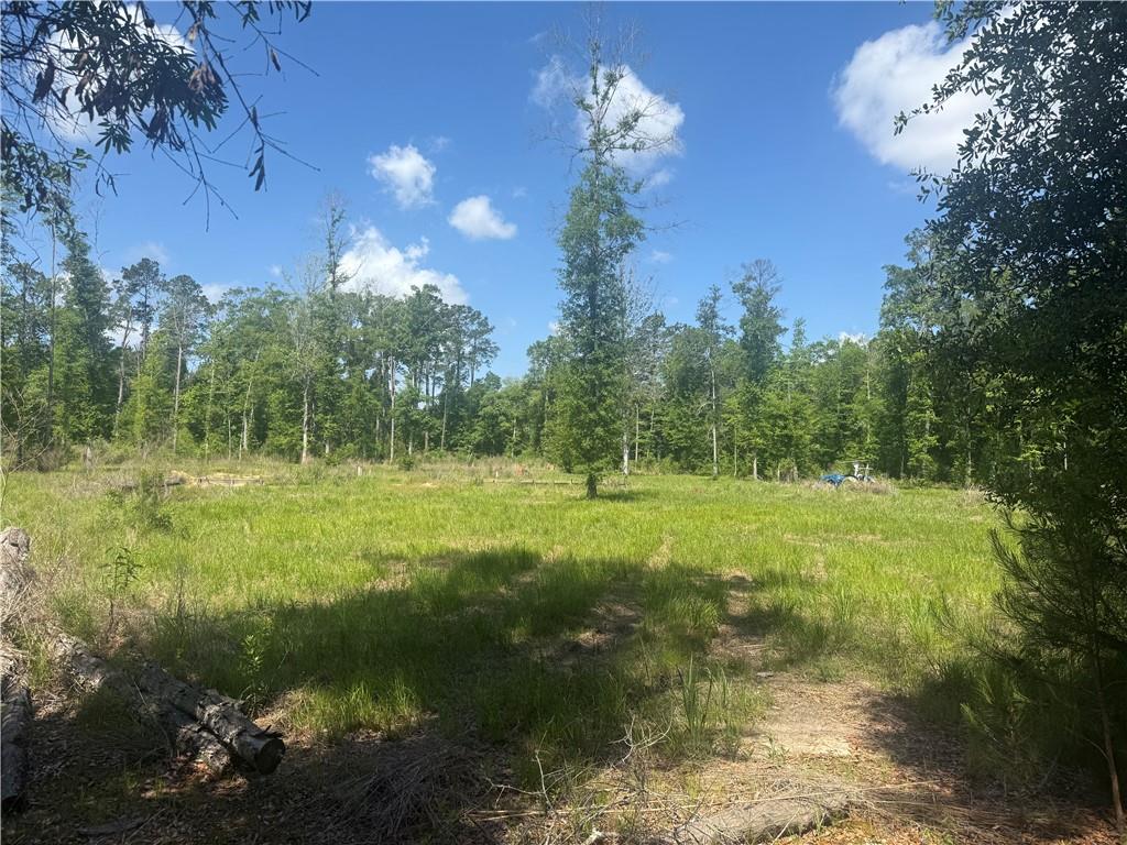 39667 SCHOOL SECTION Road