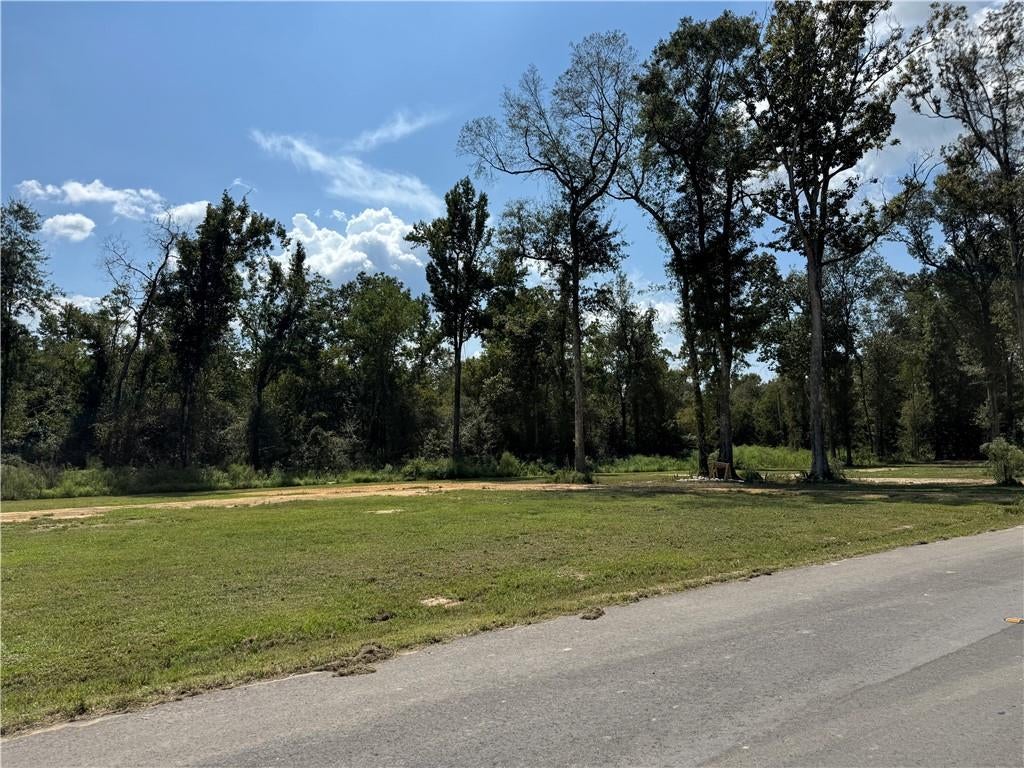 29446 LINDA'S HAVEN Road